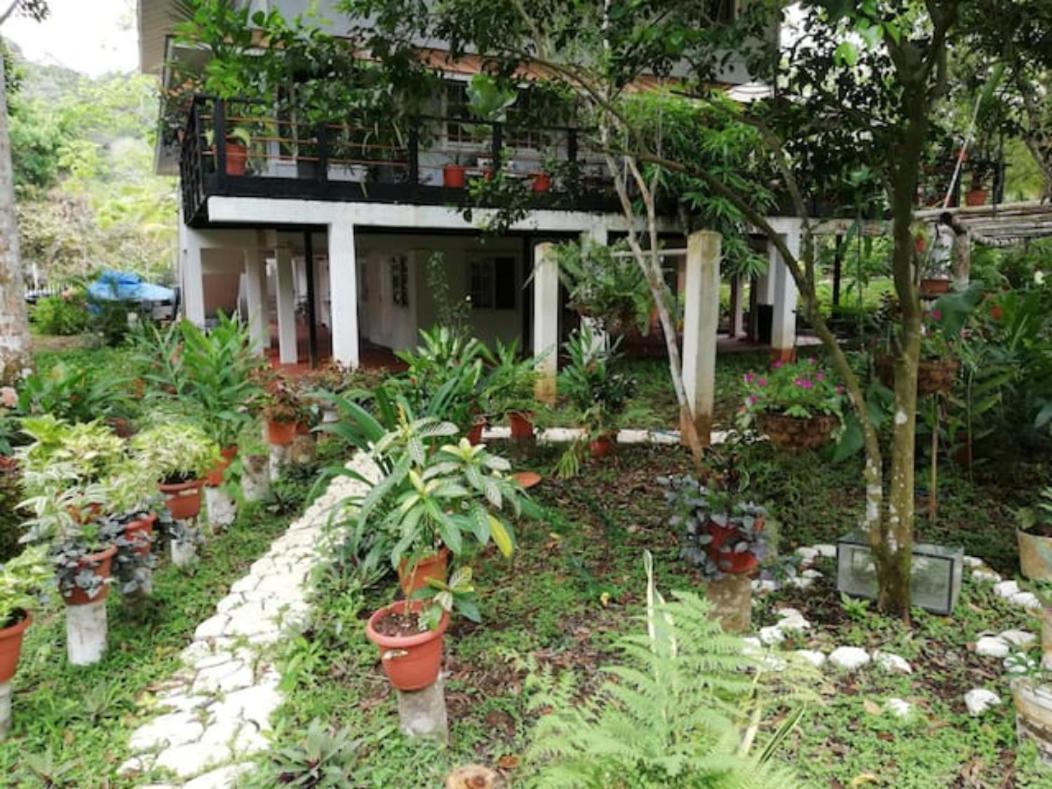Casa Gamboa Remodeladaアパートメント エクステリア 写真
